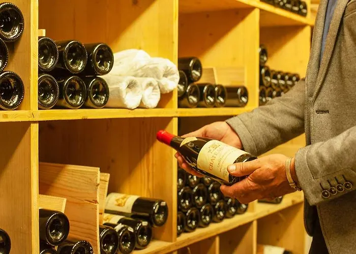 Отель Le Manoir Du Lys