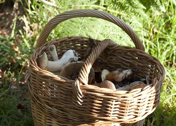 Le Manoir Du Lys Отель 4*